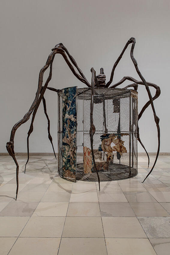 Spider
