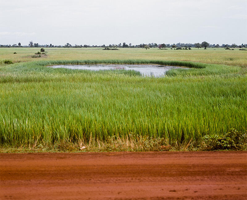 Vandy Rattana Kompong Thom (from the series “Bomb Ponds”)
